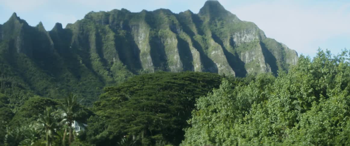 People surrounded by birds are resting in a field below a mountain during the day