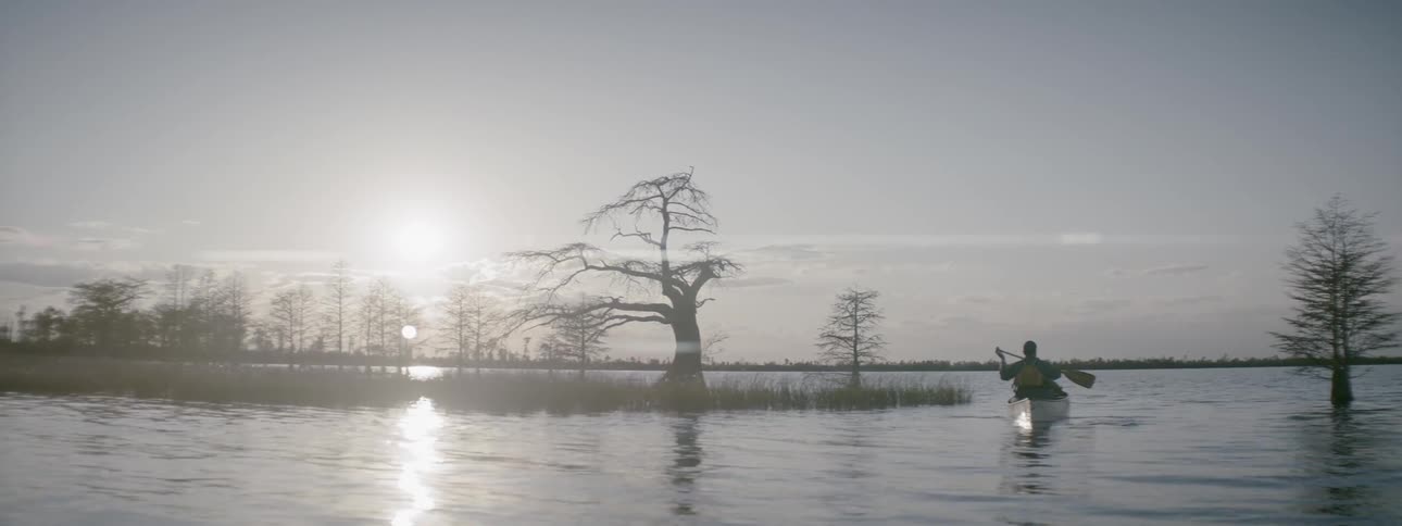 A man is rowing a canoe past a tree in a lake at dusk