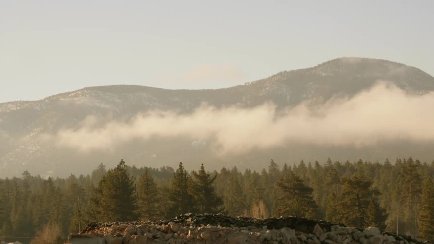 Time lapse of low clouds over a dense forest