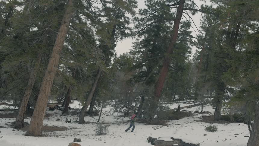 Person walking in a forest with snow on the ground