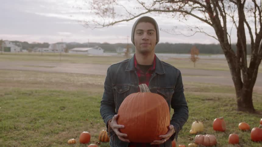 A man picks up a large pumpkin off the ground and holds it