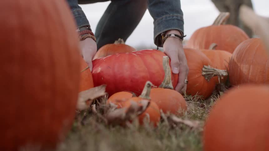 A man picks up a small orange pumpkin