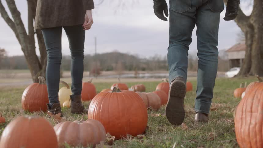 Man and woman walk through rows of pumpkins