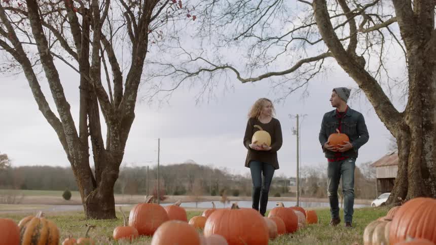 A man and woman carry pumpkins in a pumpkin patch