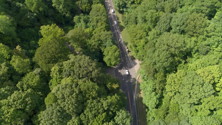 Cars drive down a highway through a forest