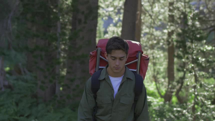 Man hiking through a forest on a sunny day