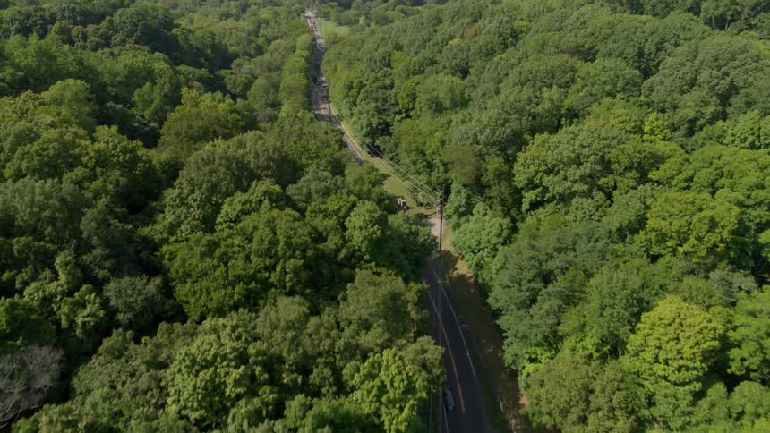 Cars drive down a highway through a forest