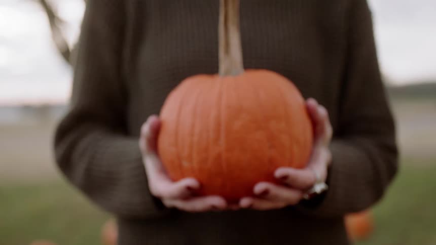 Woman holds pumpkin