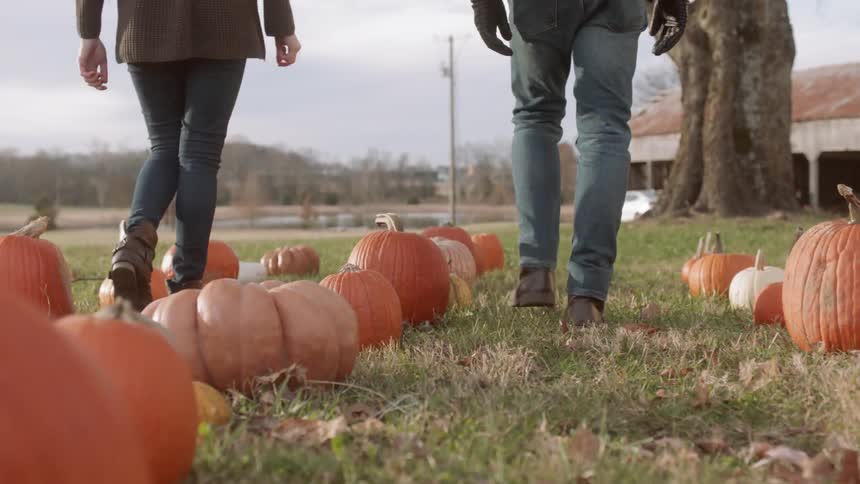 A man and woman walk along a path in the grass lined with pumpkins towards a building