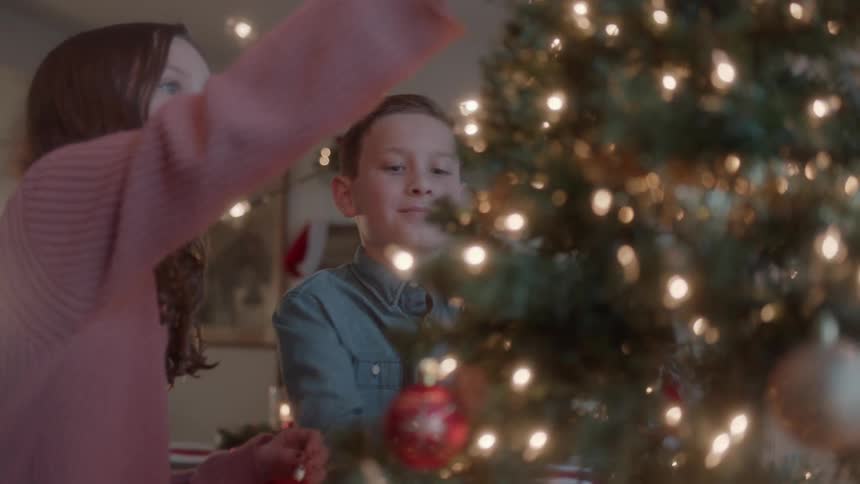 Children are placing ornaments on a christmas tree