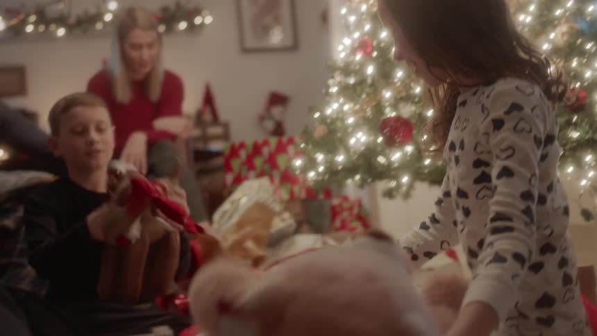 A girl hugs a teddy bear by the christmas tree as family looks on