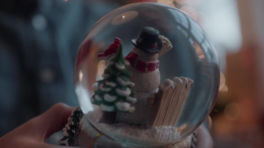 Person holds and looks at a snow globe