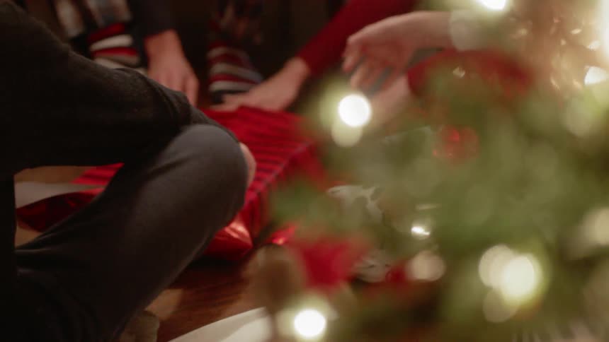 People sitting near a christmas tree wrap a present