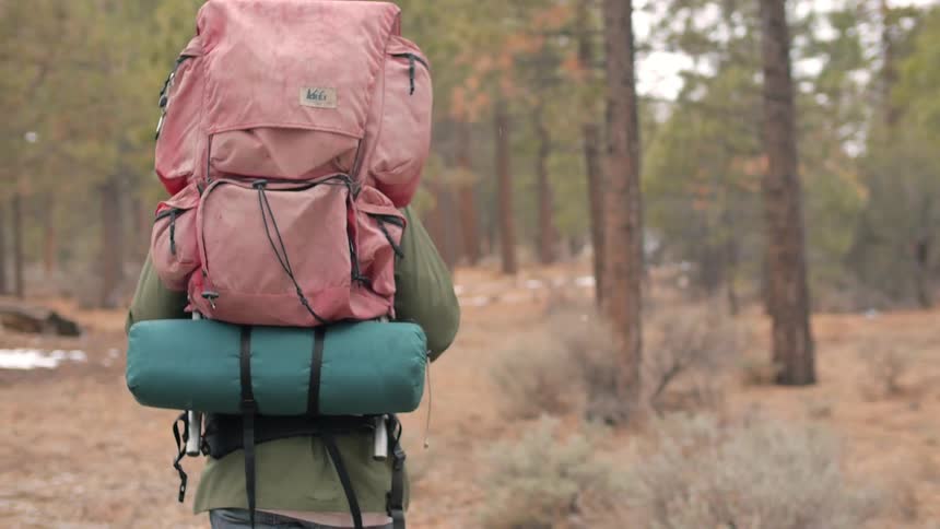 A person carrying a backpack hikes towards the forest
