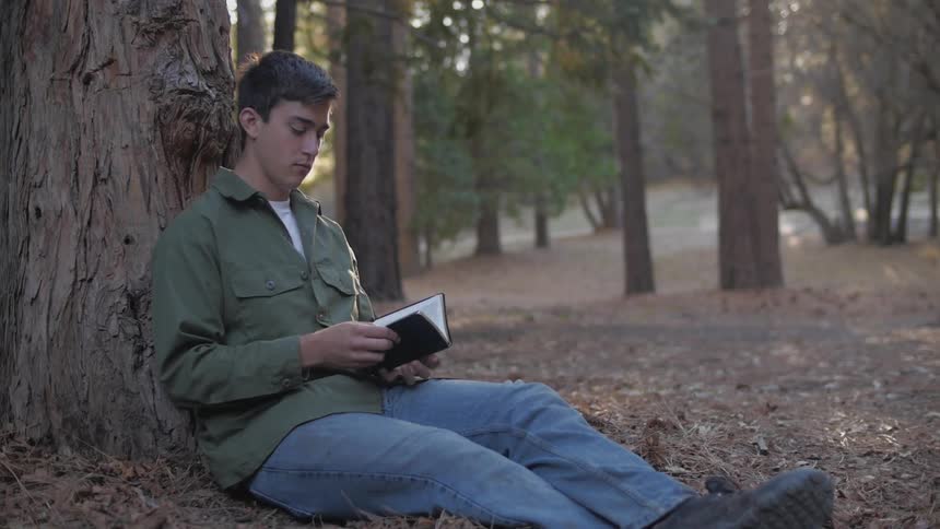 A person reading a book