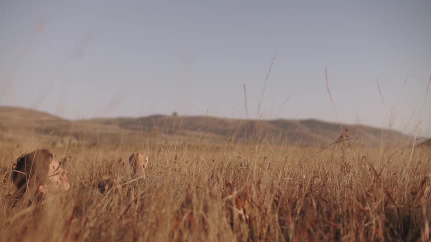 Grasslands blowing in the wind