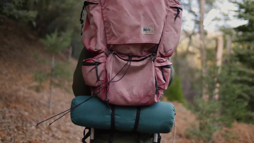 A man is hiking in the woods