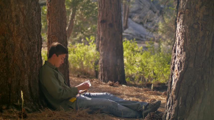 A person reading a book