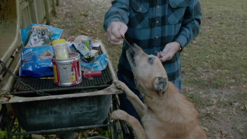 A man feeds a dog a treat