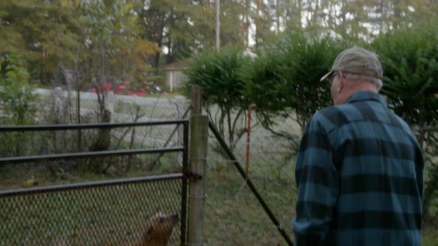An old man is walking towards a gate with a dog behind it