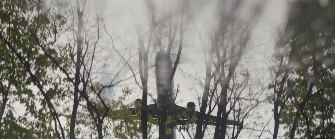 A plane is flying over a stand of trees on a cloudy day