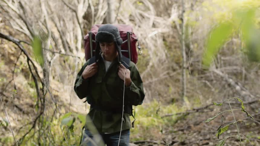 A man is hiking in the woods