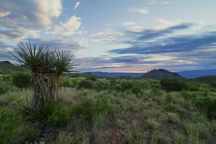 Clouds moving above a grassy area with mountains in the background