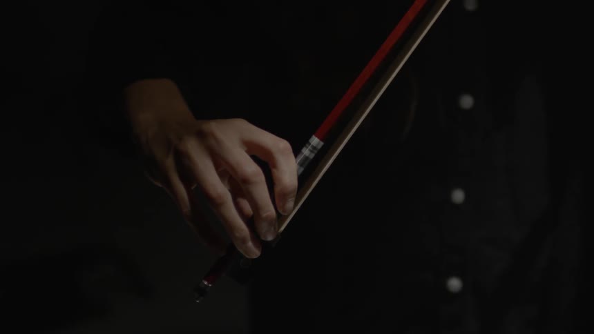 A person plays the violin
