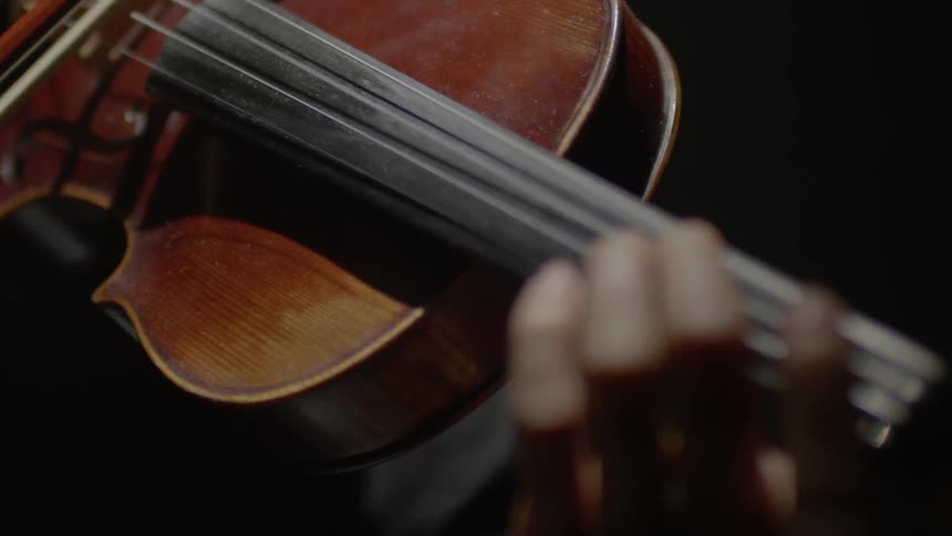 A musician plays a violin
