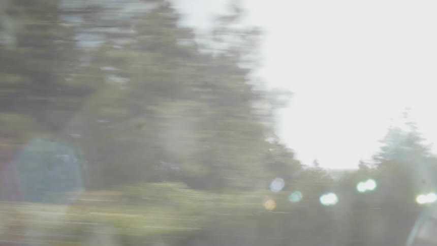 Fast moving pan of forest on a sunny day