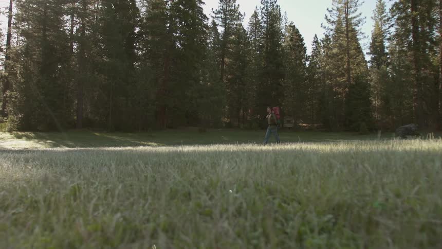 Person hiking on a large grass field before a forest