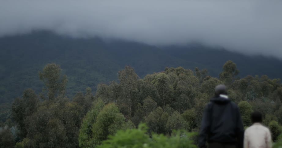 Man and boy stand looking at cloud covered mountain top