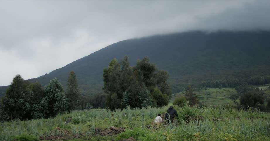 Man and boy hike across the top of a hill as clouds gather overhead