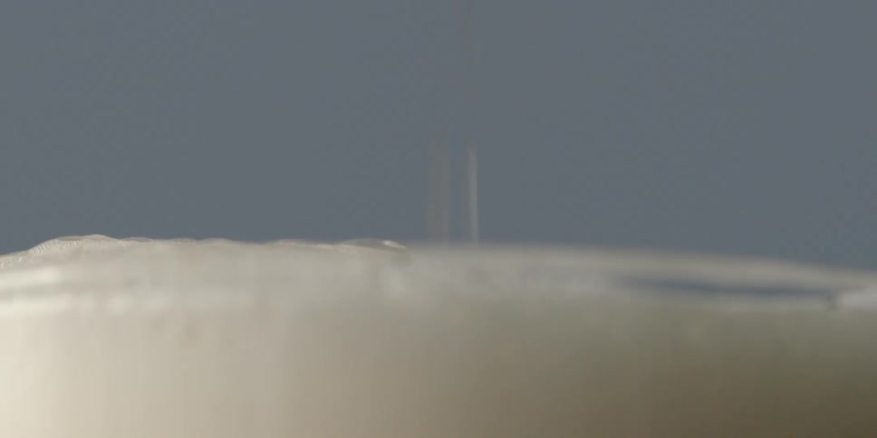 Beer foams as it's poured into a glass