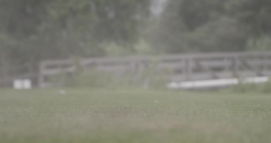 Dust and dirt are flying around a grassy field