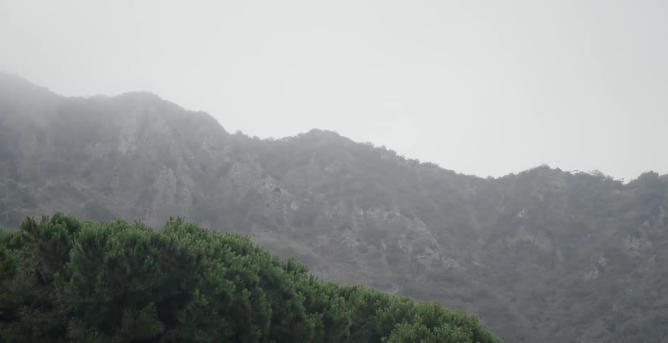 Mist hovers around tree covered mountains