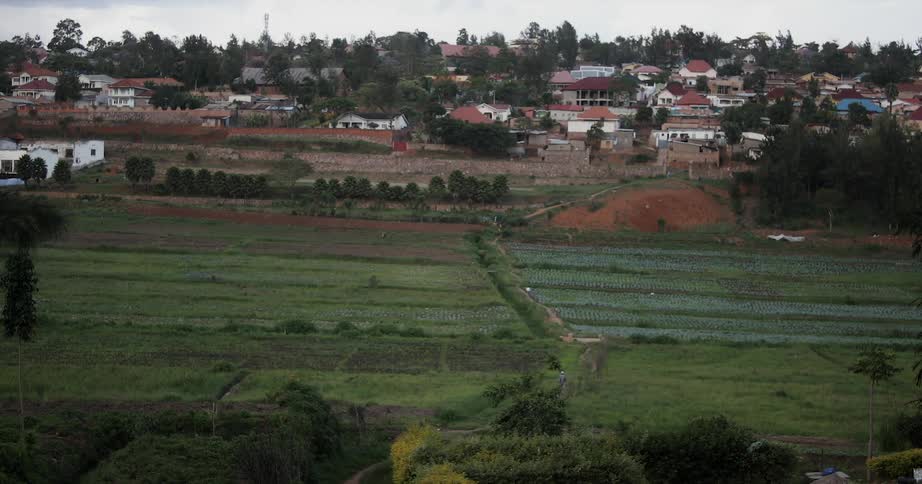 Fields on the edge of a village