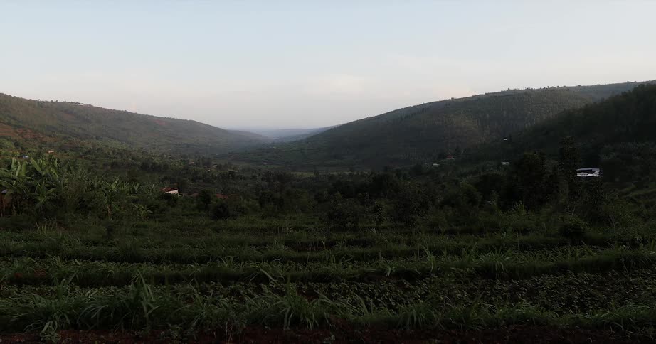 Overlooking some dense jungle