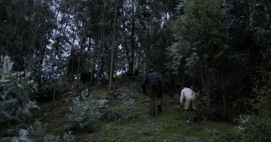 Man and child walk through the woods