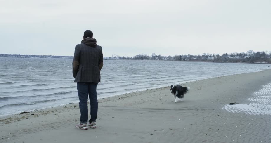 A man and dog walk on a beach
