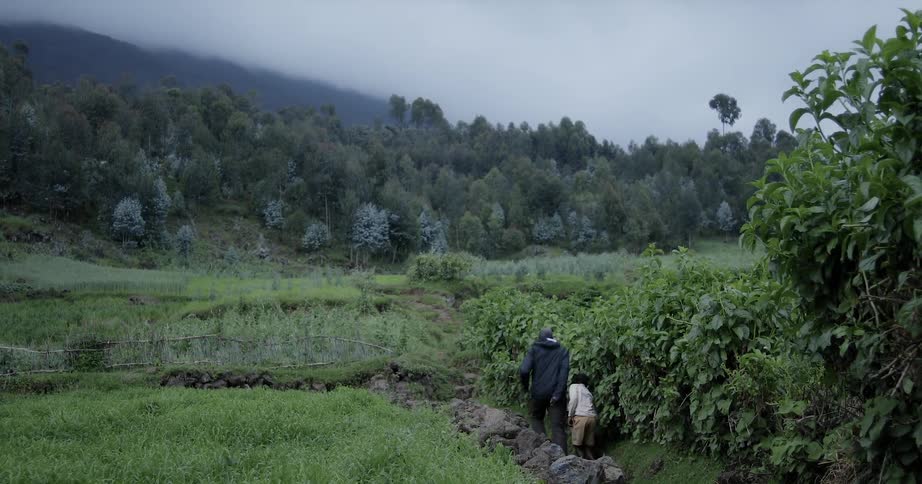 A man and boy are walking along a rural path on a cloudy day