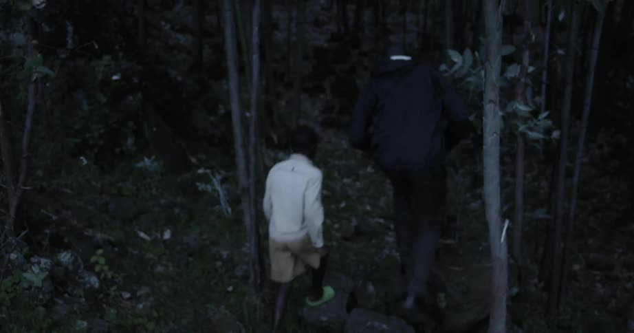A man and a child are walking into the jungle