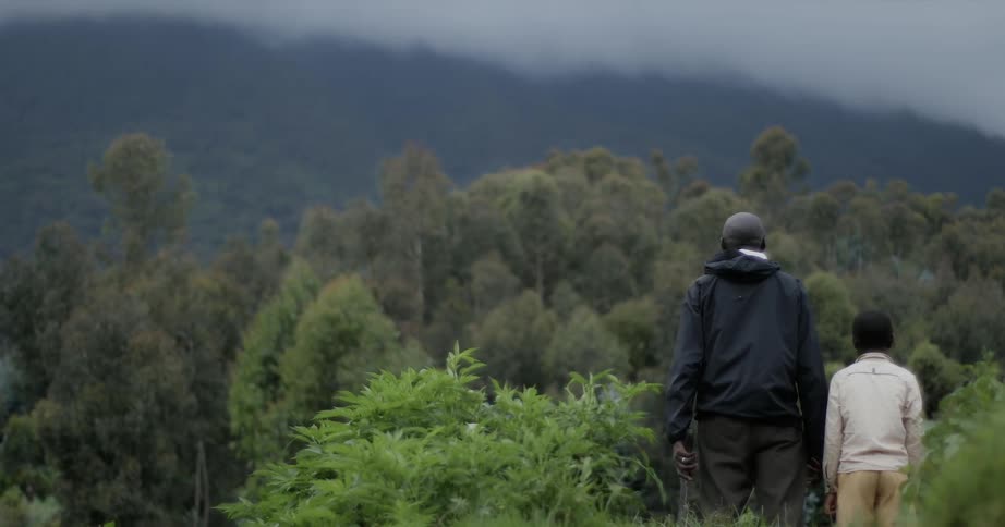Man and boy stand staring at a forest