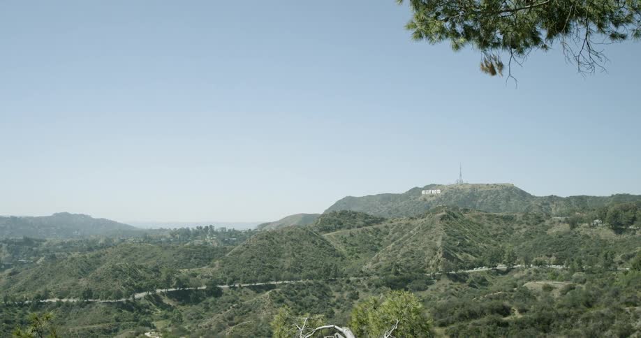 Tree covered hills and mountains with a road going through them