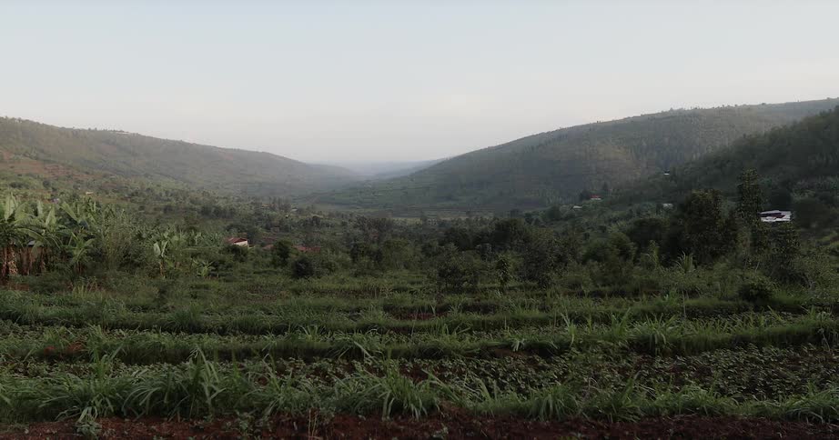 Hilly green area on a hazy day