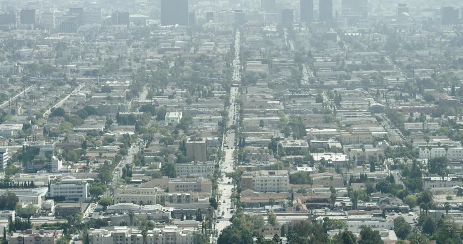 A large city is viewed from the top of a hill