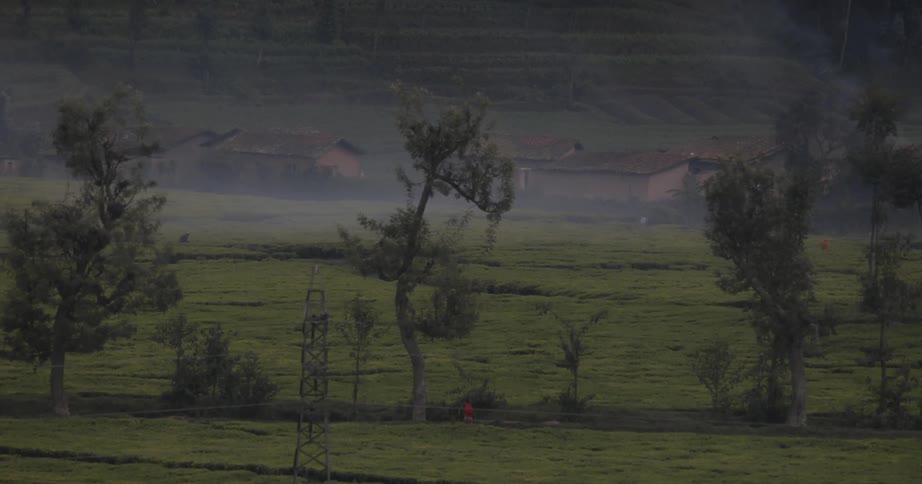 The field leads to a mountain ahead on a foggy day