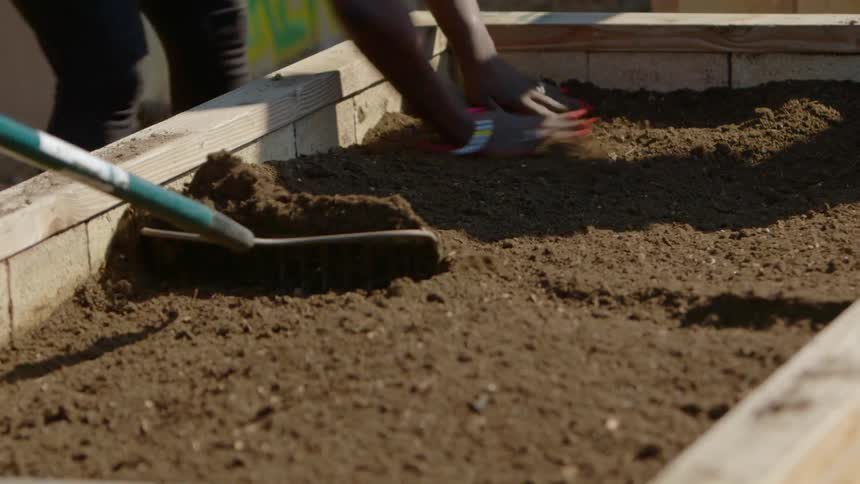 People prepare an urban garden