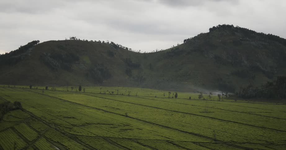 Green fields at the base of two hills