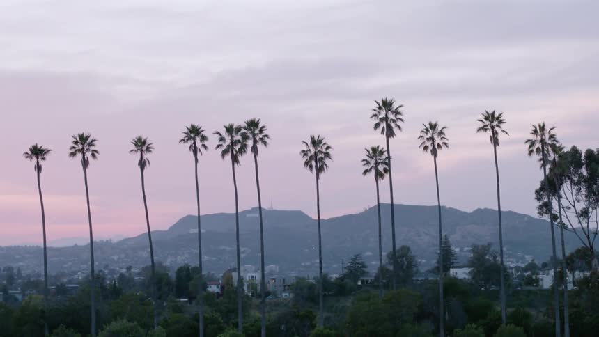 Palm trees are standing tall above a community at dusk